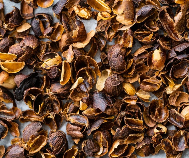 Cascara 1.jpg
